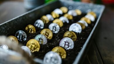 profitable stock investment strategies
