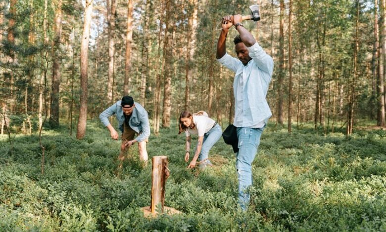 call activity log entries