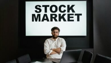 premium sector intelligence report