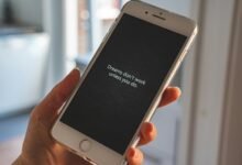 discover better paths daily