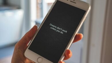 discover better paths daily