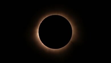 eclipse surge revenue node