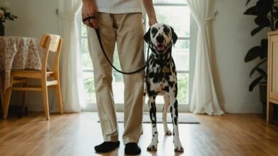 independent caller analysis and alerts