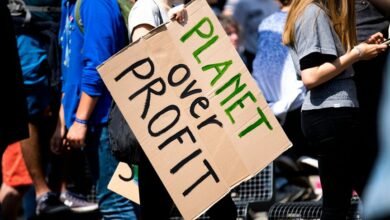 nova beam profit node identifier