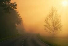 vertex lane opportunity beam