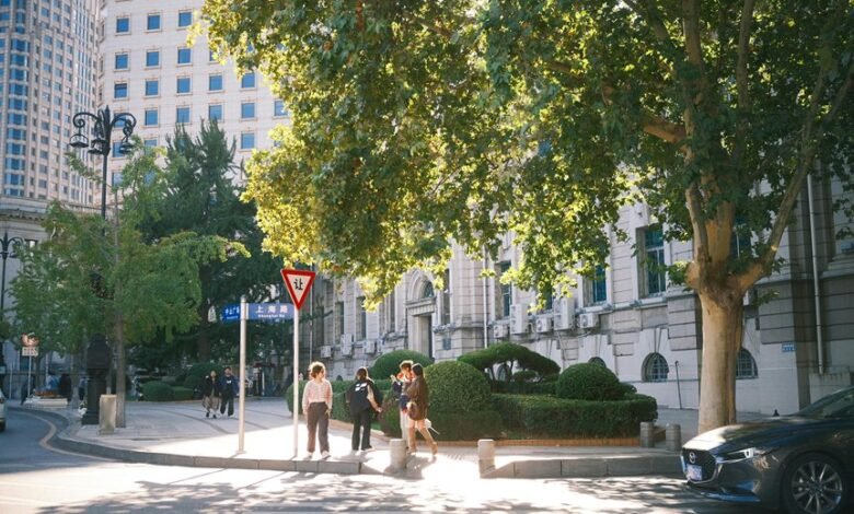 yield builder 633210739 conversion boost